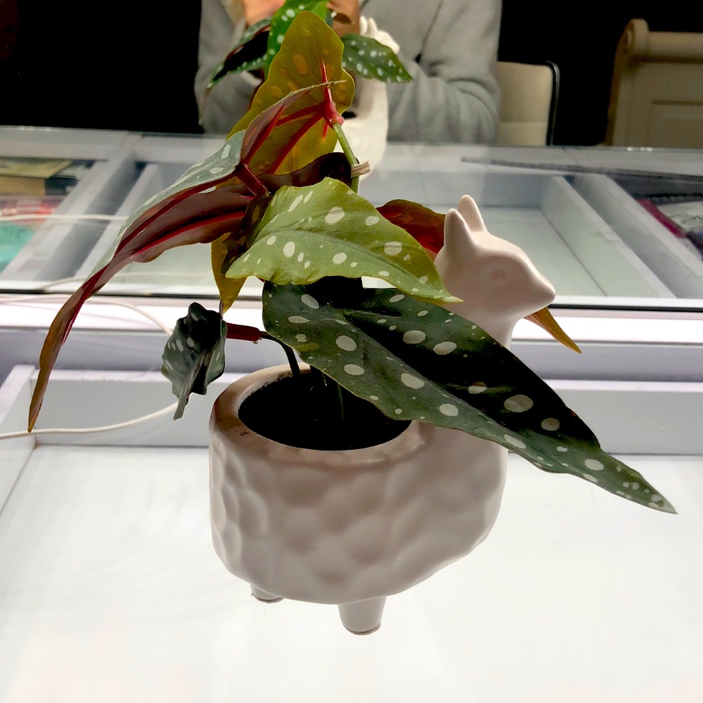 Small Artificial Plant in Llama Pot